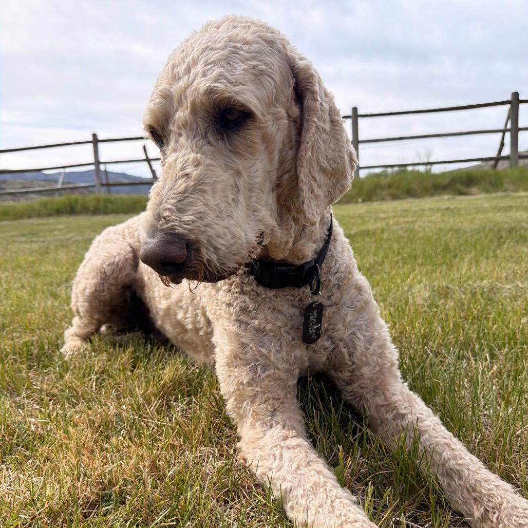 Sam