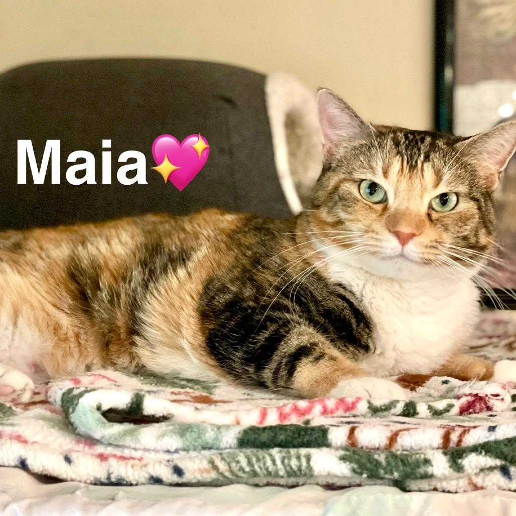 Maia