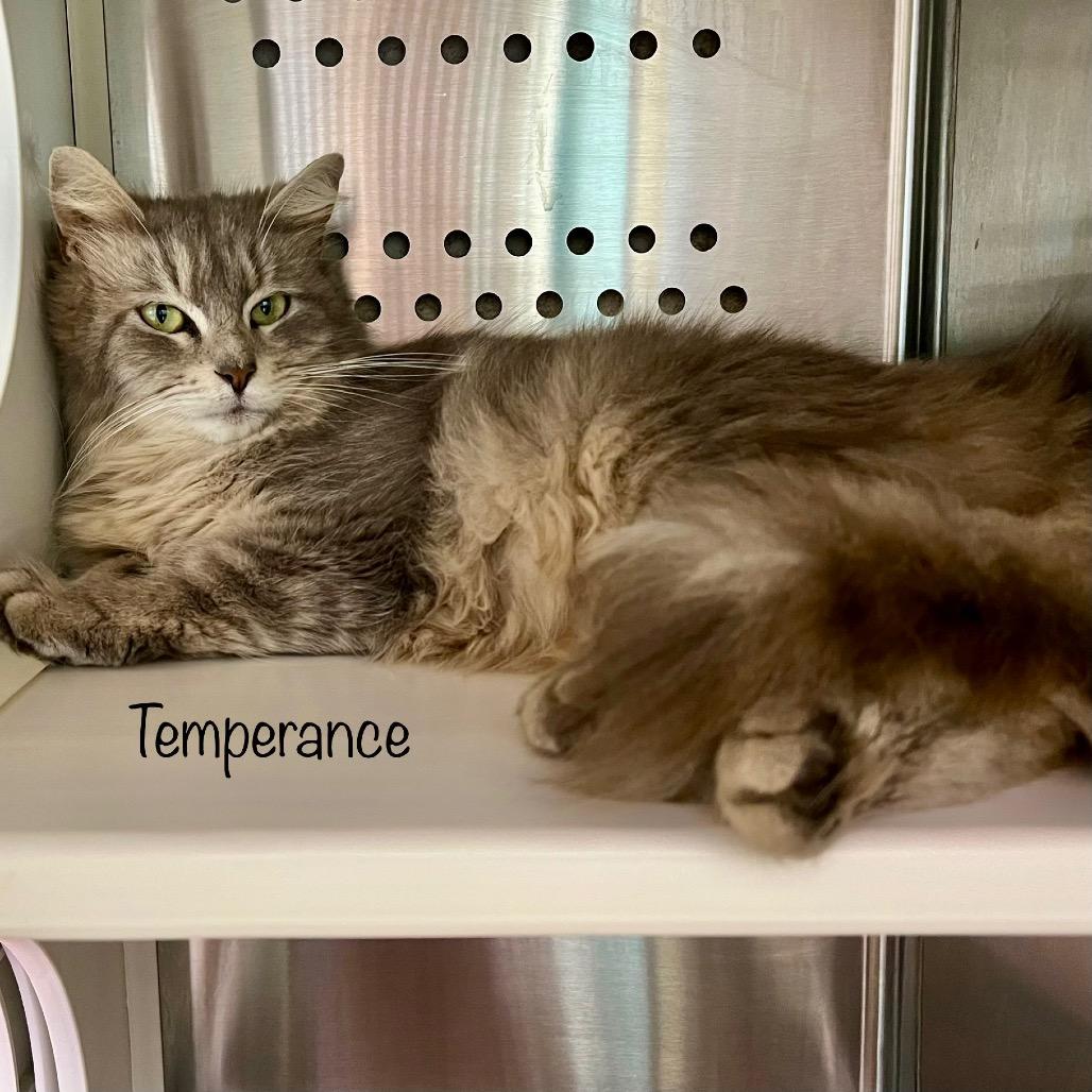 Temperance
