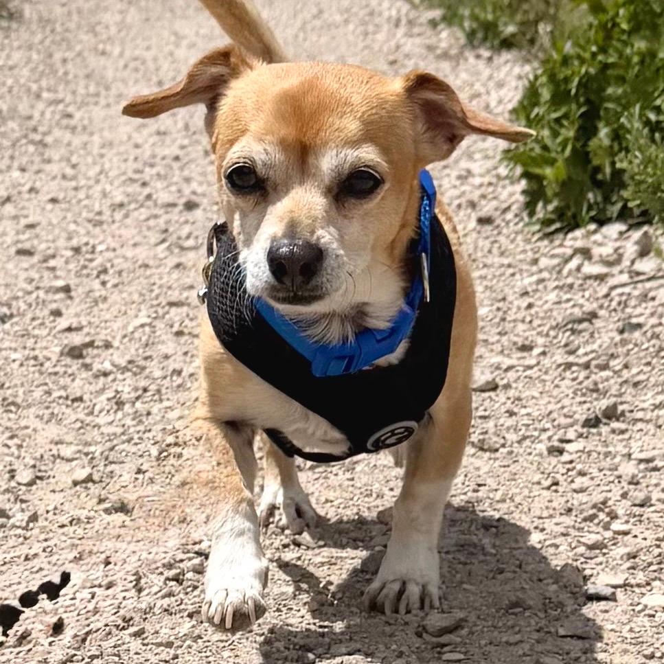 Paco