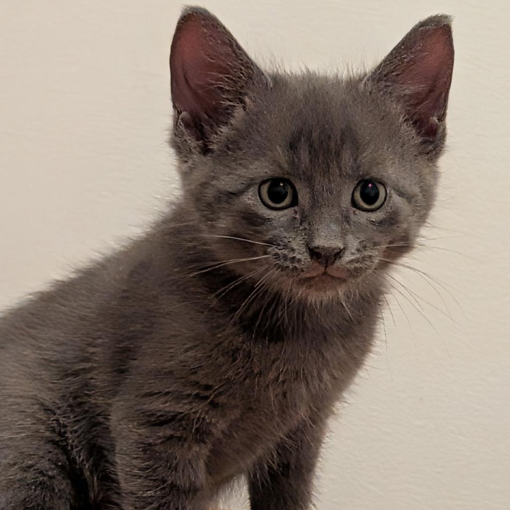 Walter