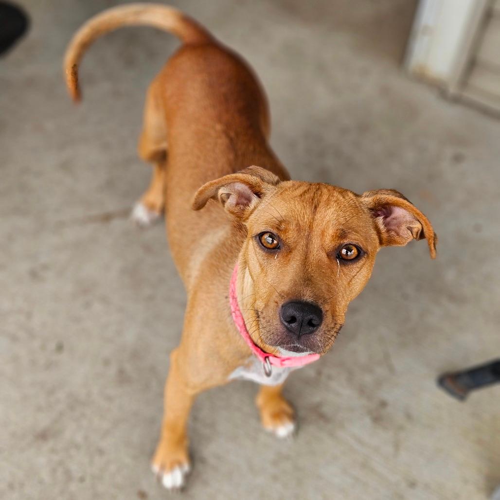 Delilah
