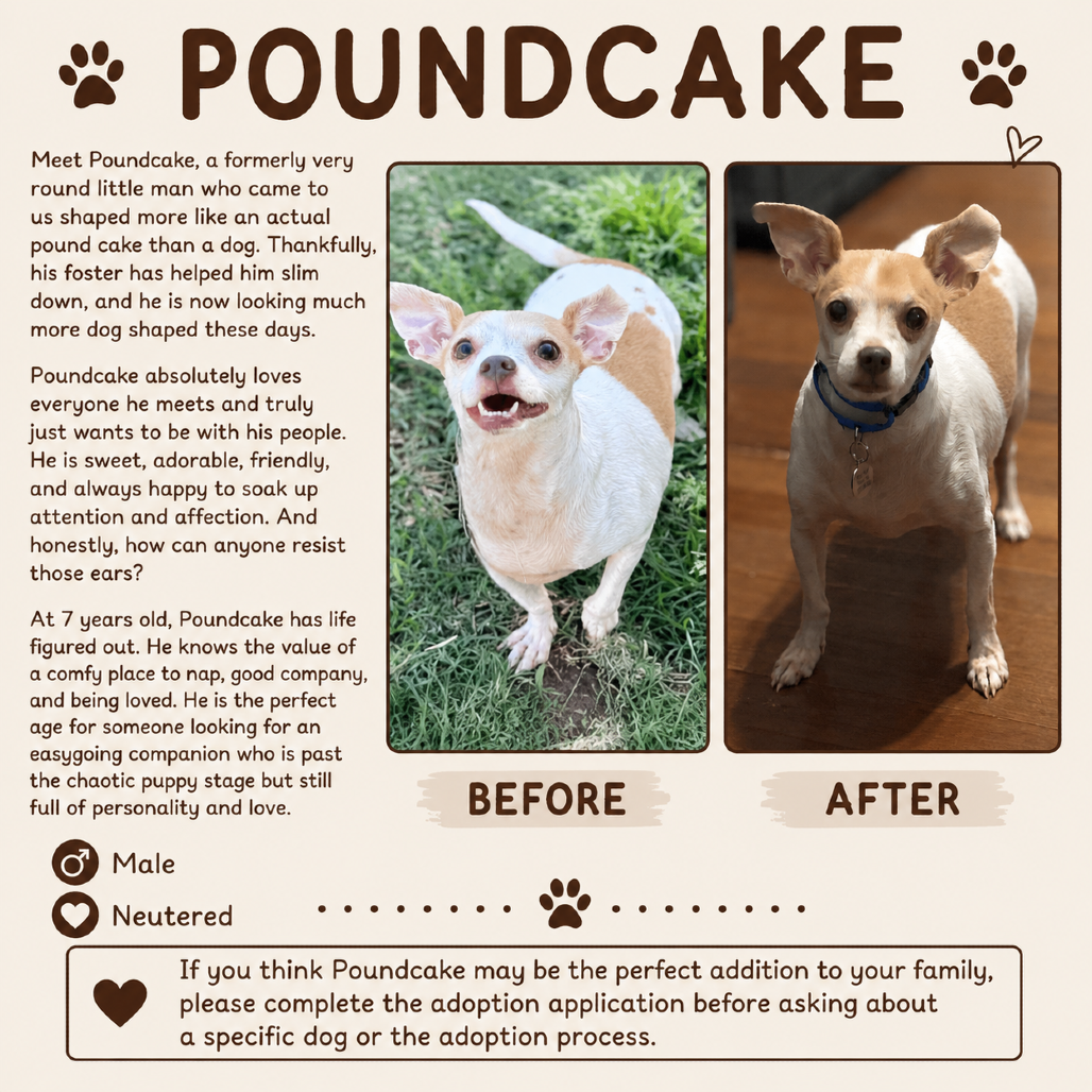Pound Cake
