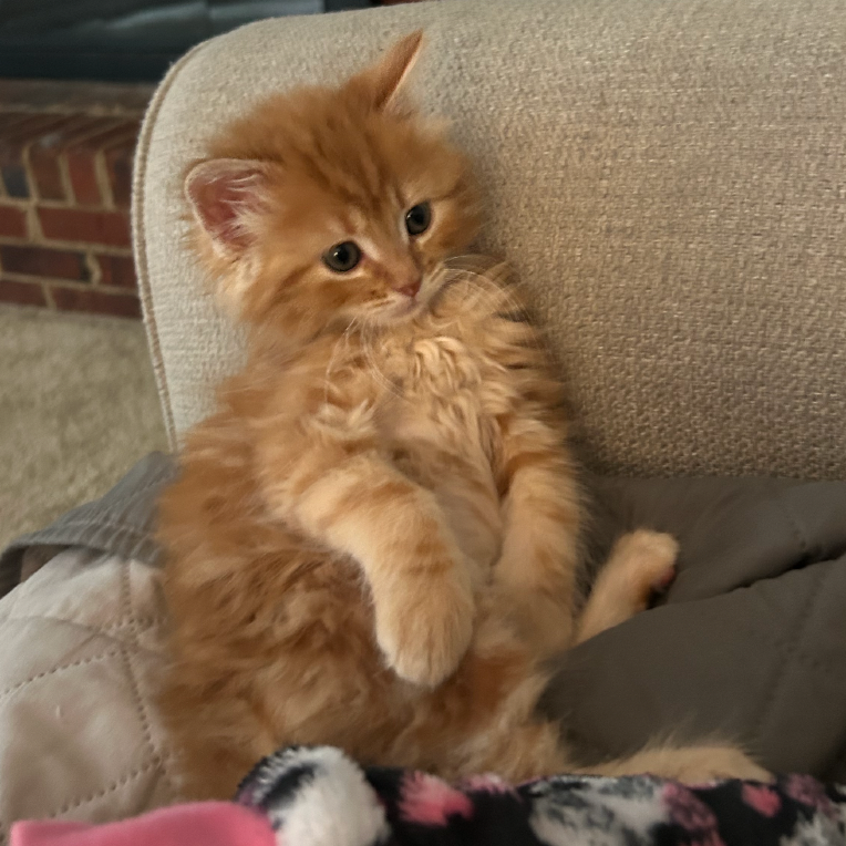 Frito