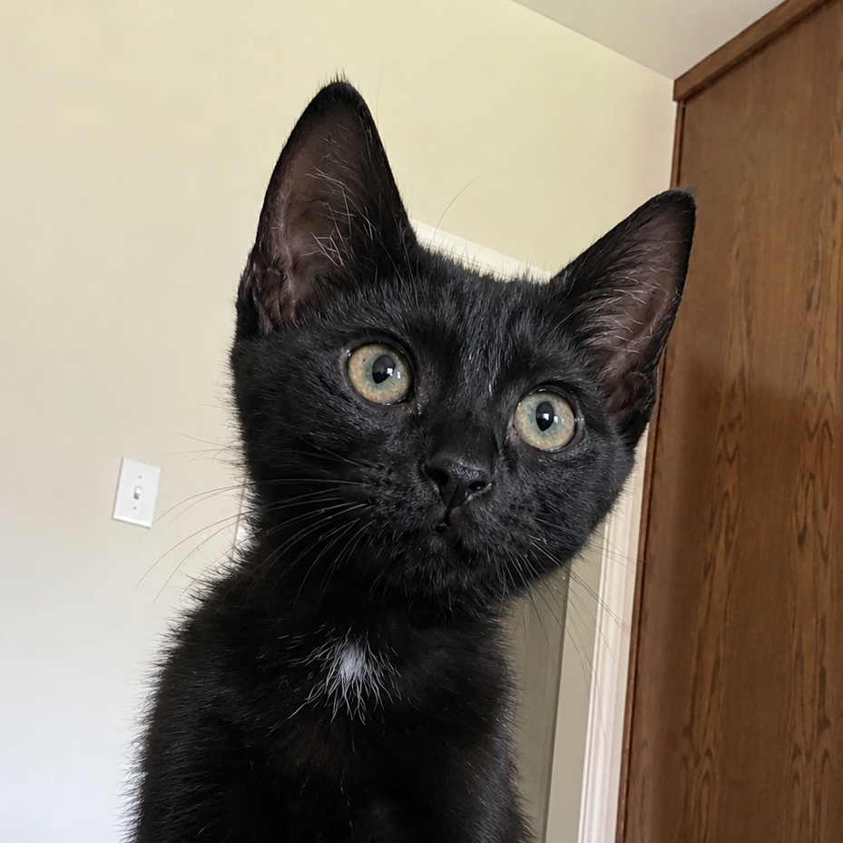 Lou (FKA Lucy)