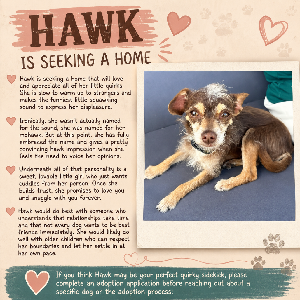 Hawk