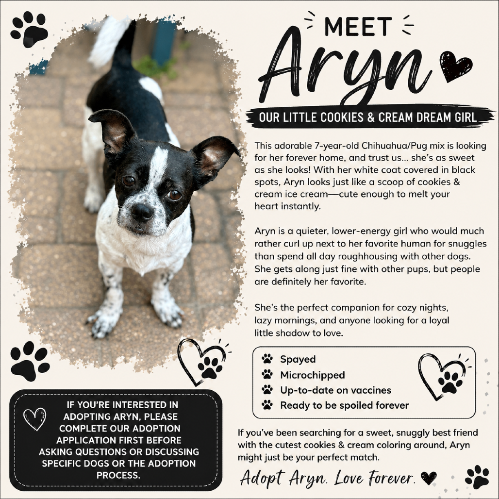 Aryn