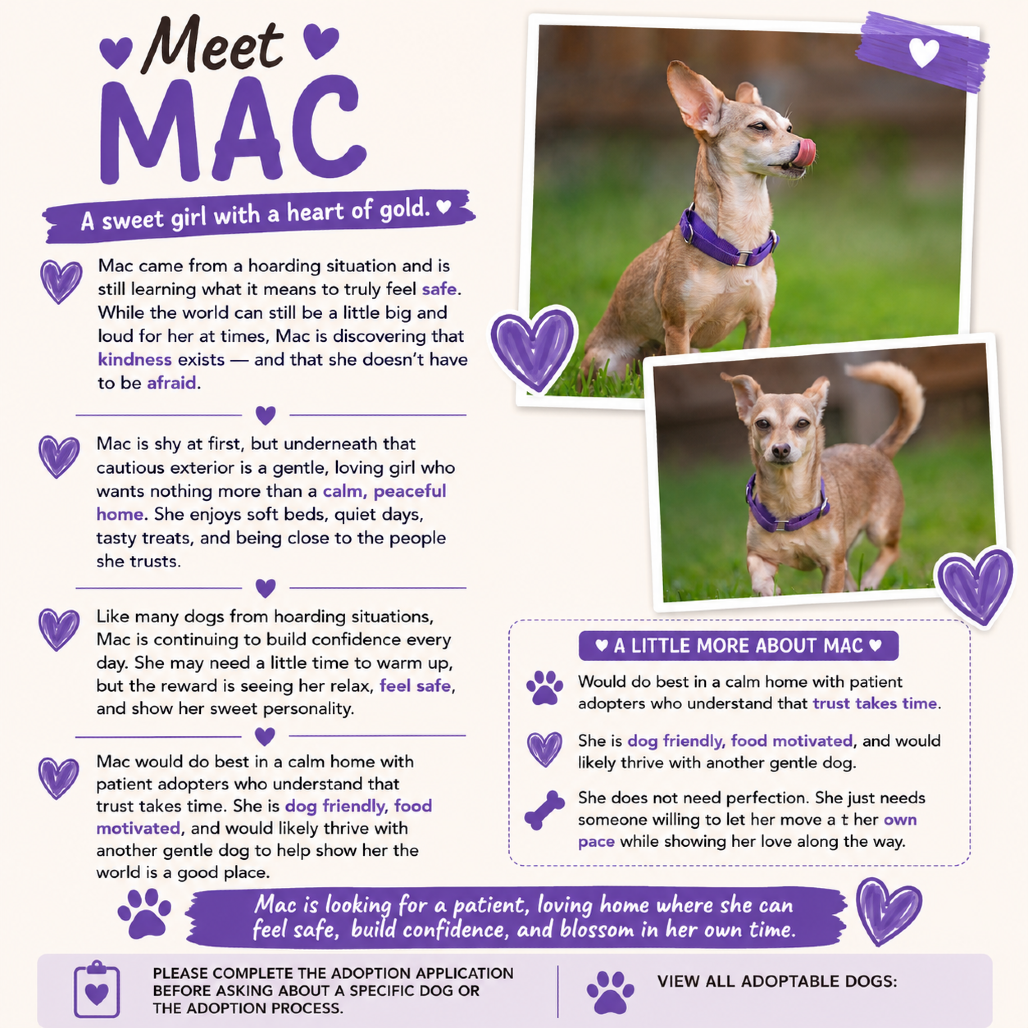 Mac