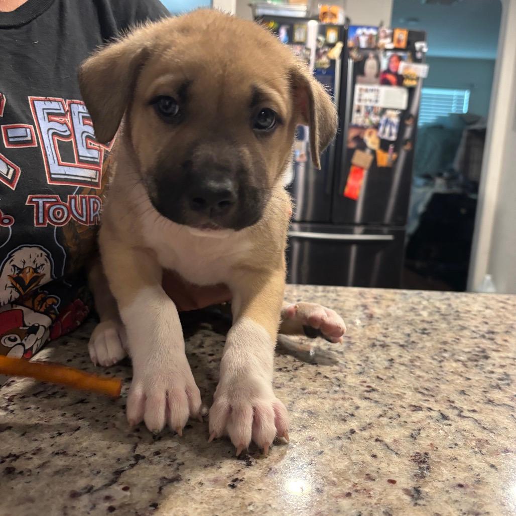 Tucker 