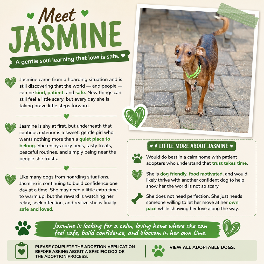 Jasmine