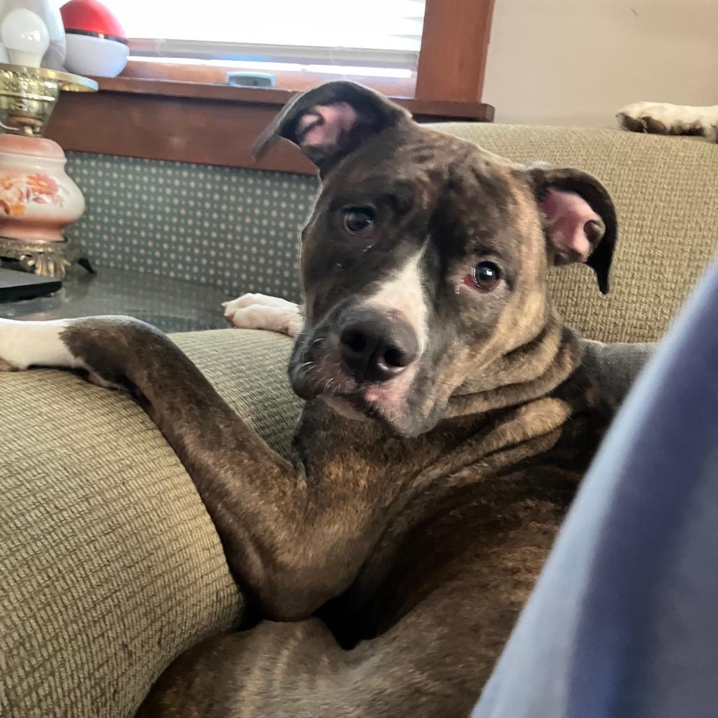 Echo (In Foster)