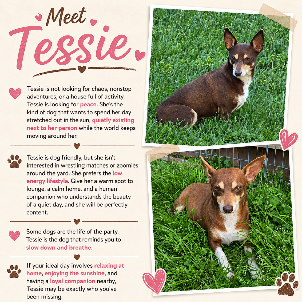 Tessie