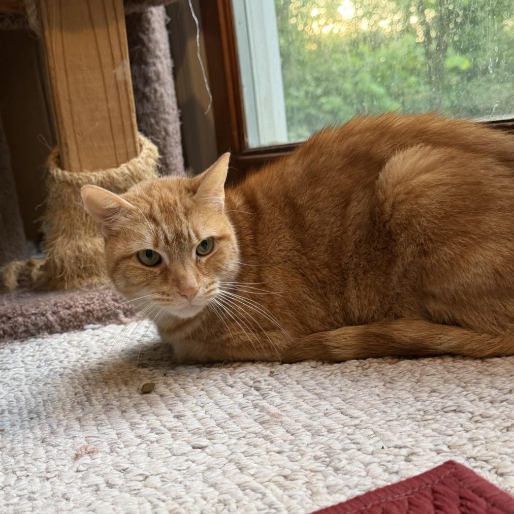 Bernard -IN FOSTER