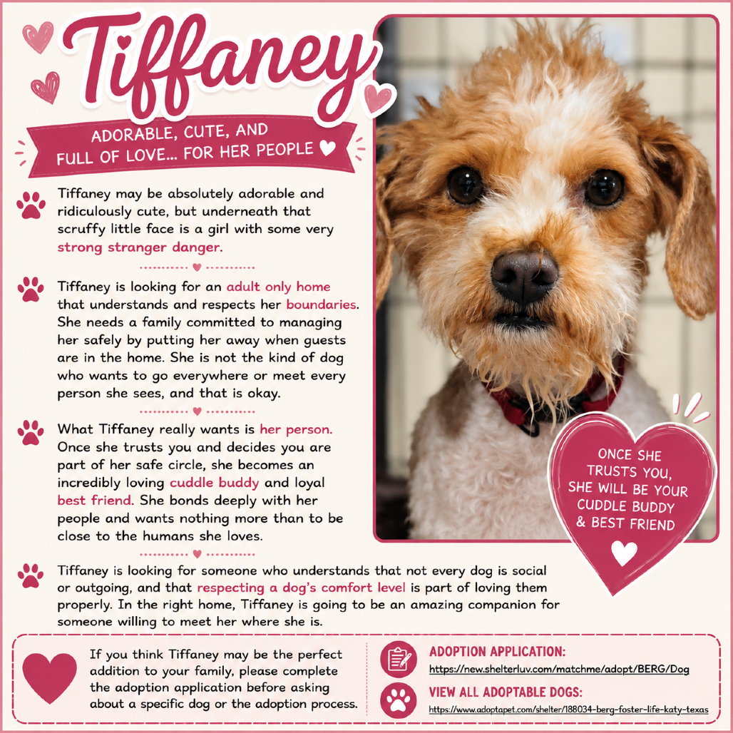 Tiffaney