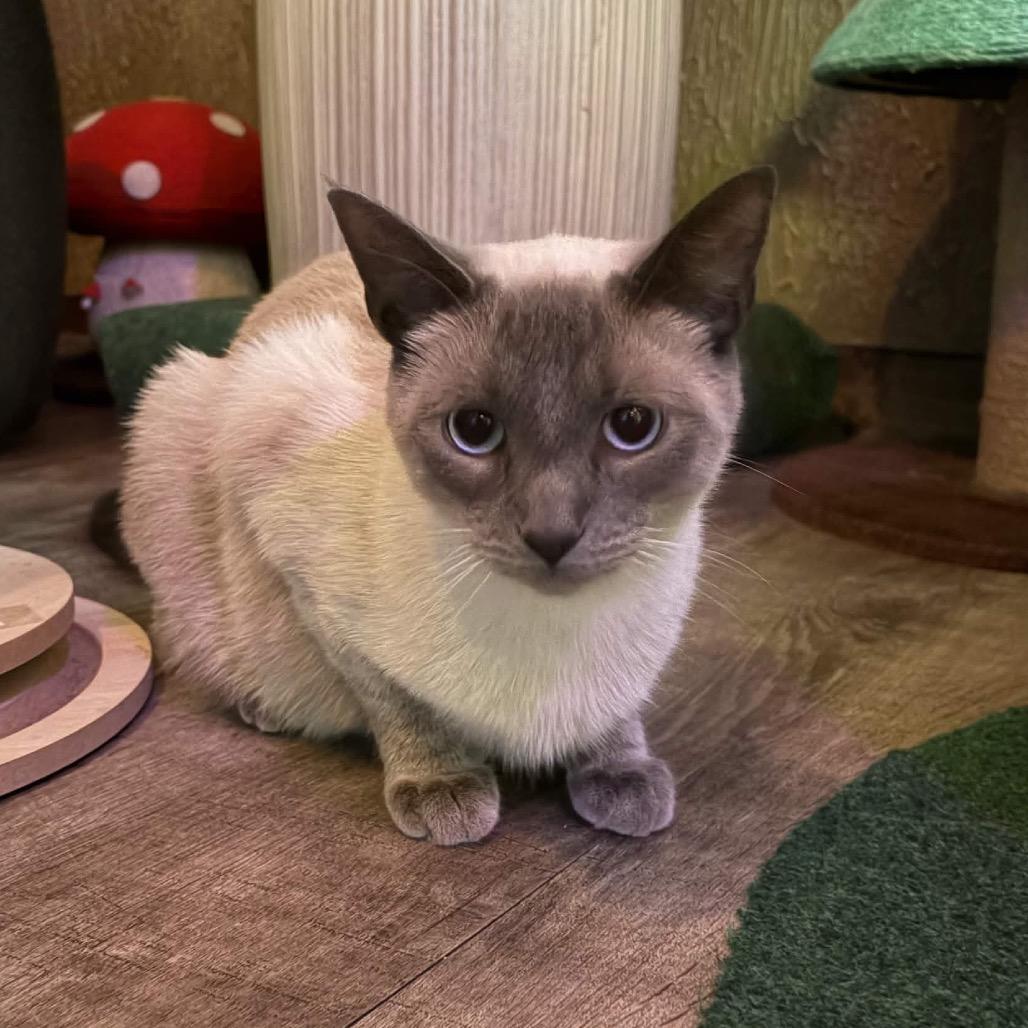Harry 