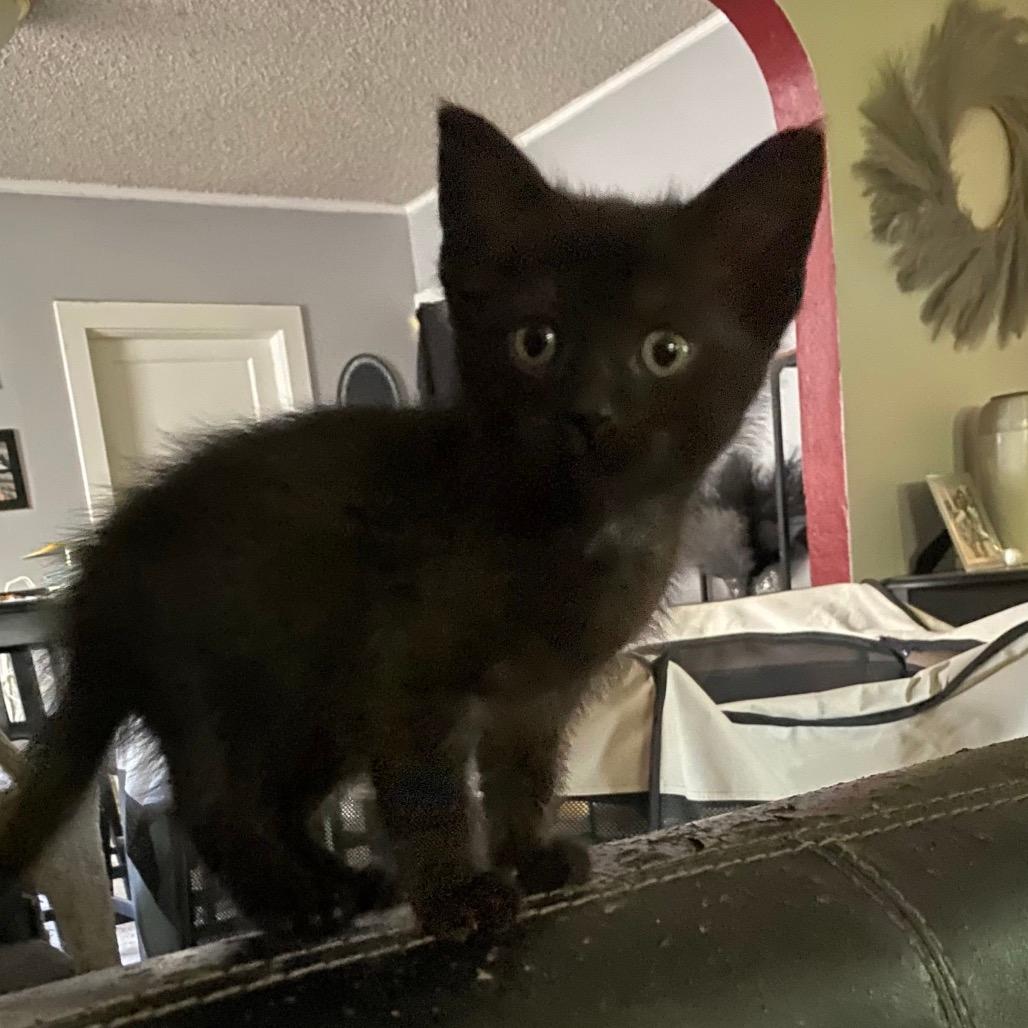 Chloe