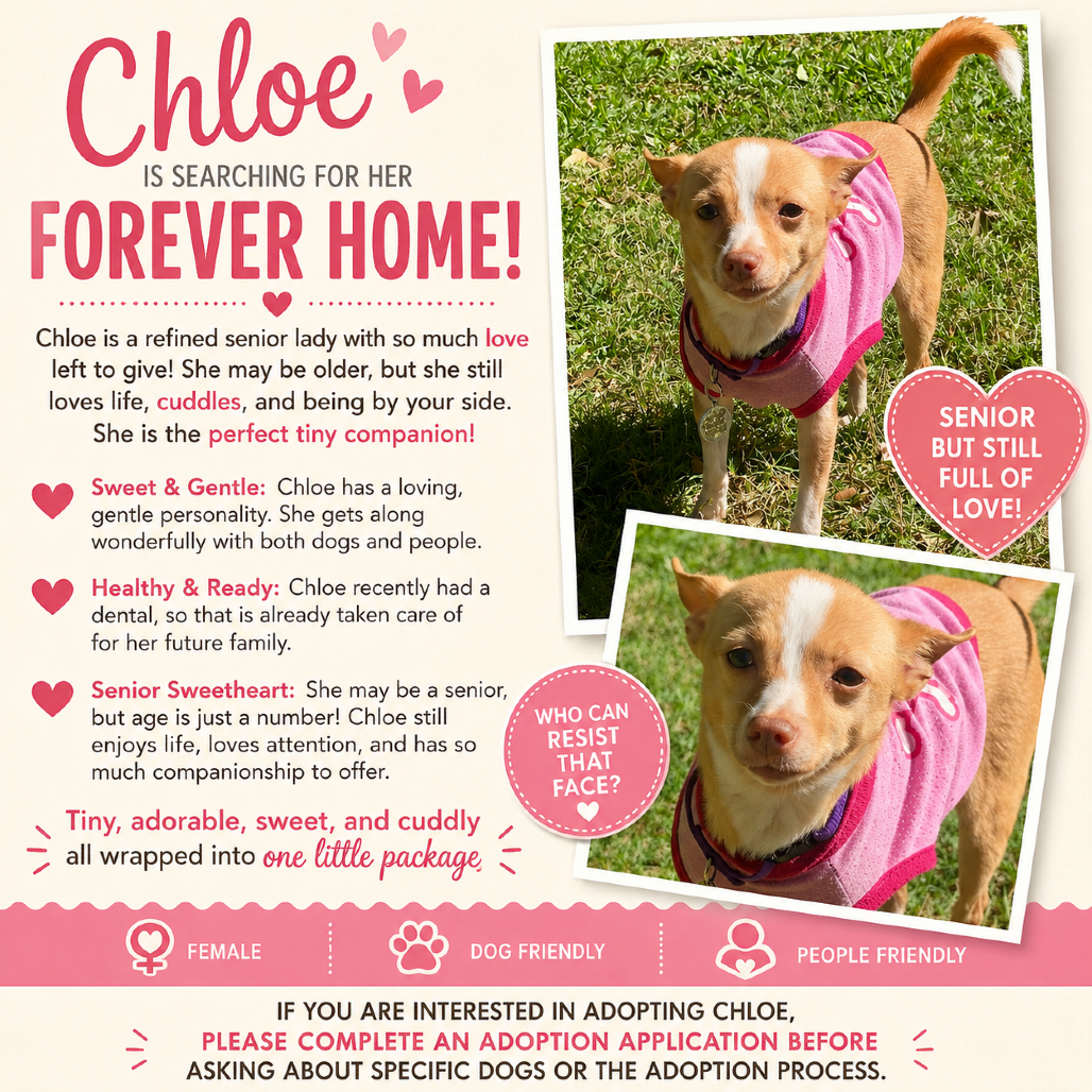 Chloe