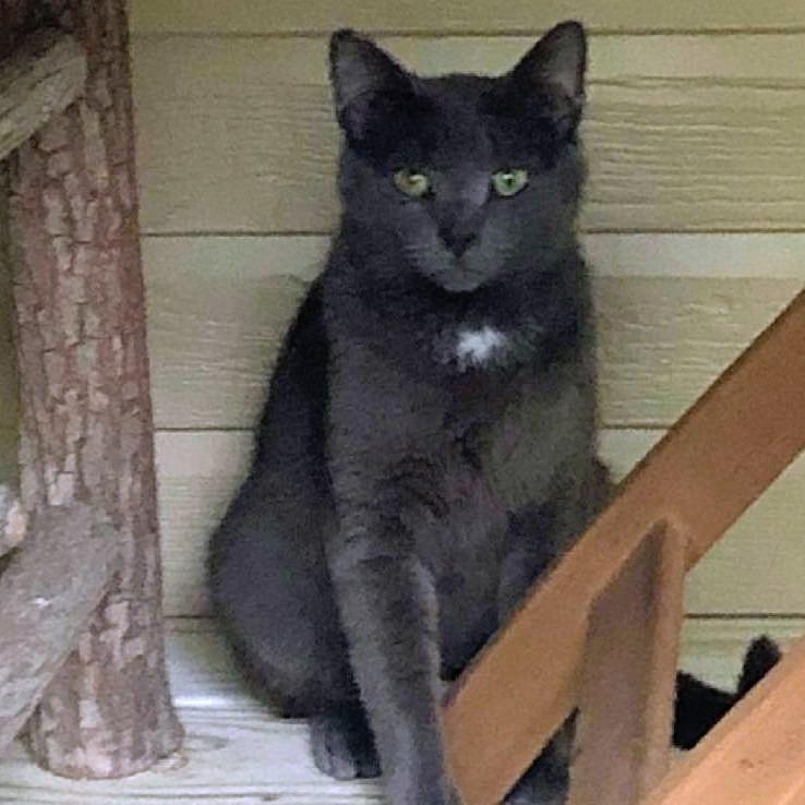 Mama Blue