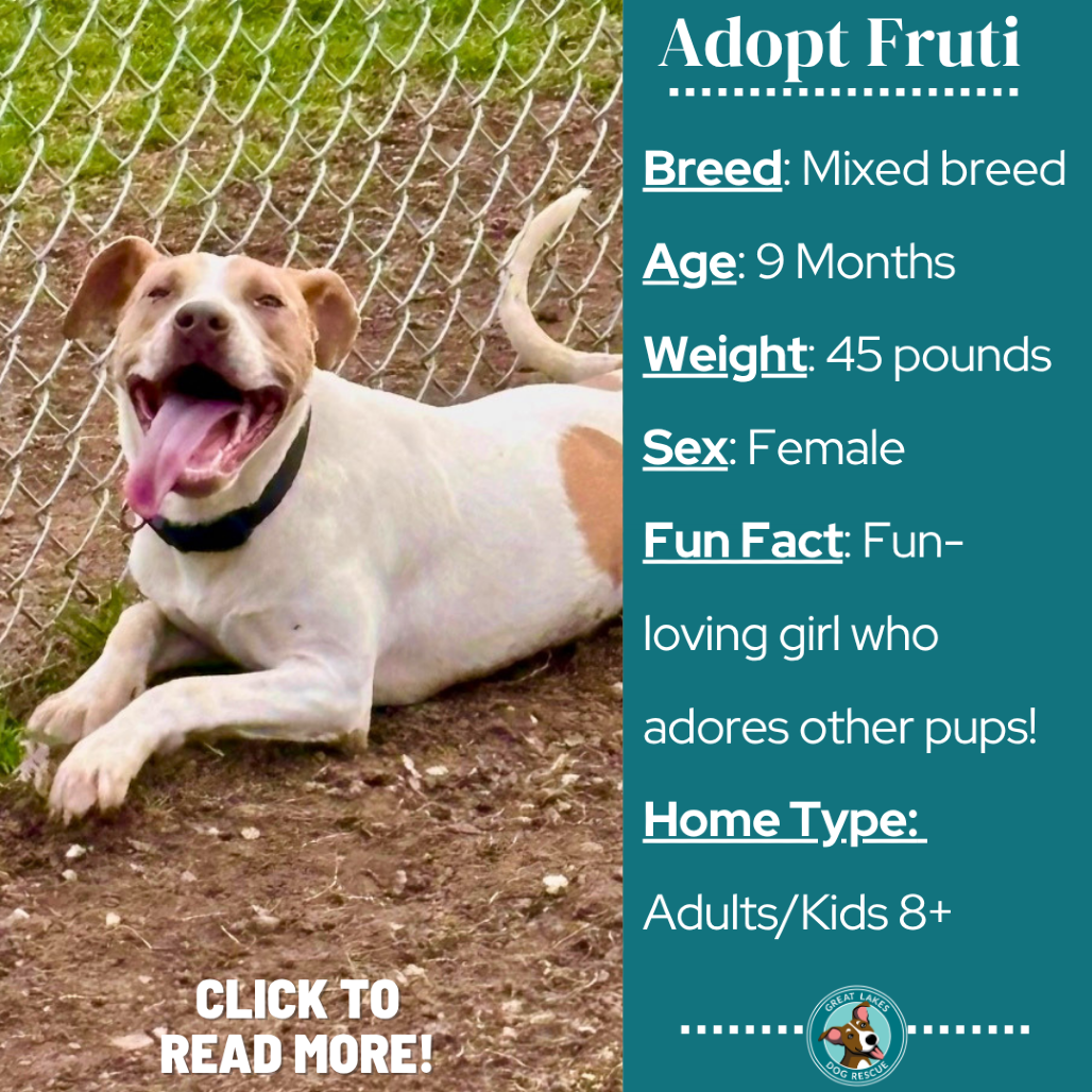 Fruti