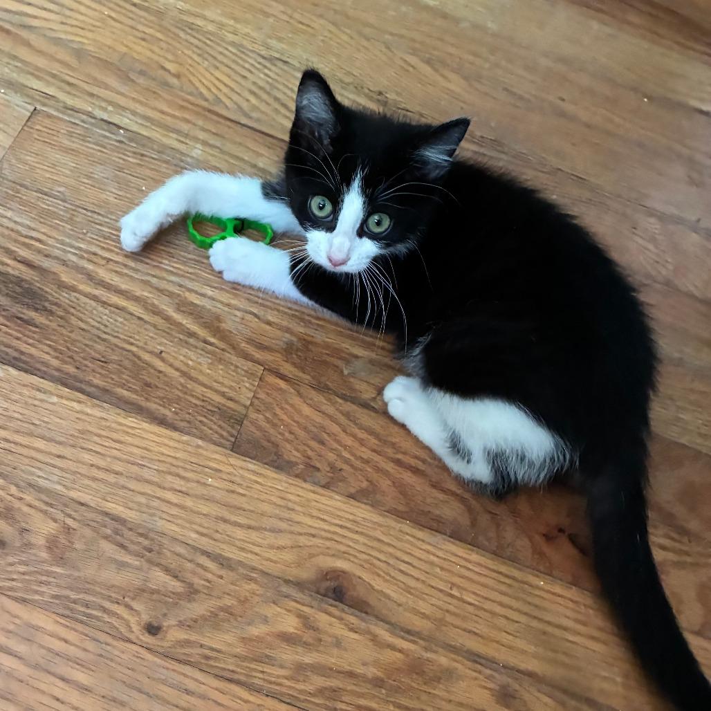 Delilah