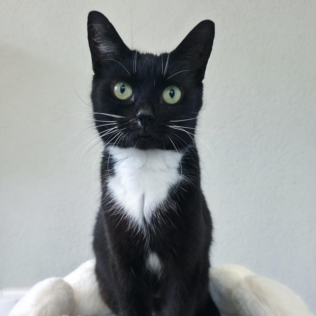 Hera