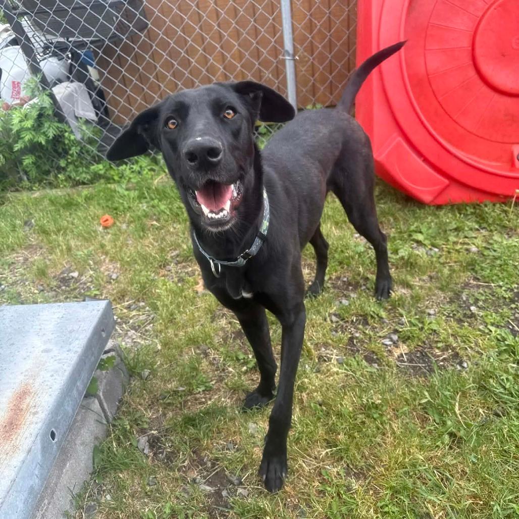 Juno