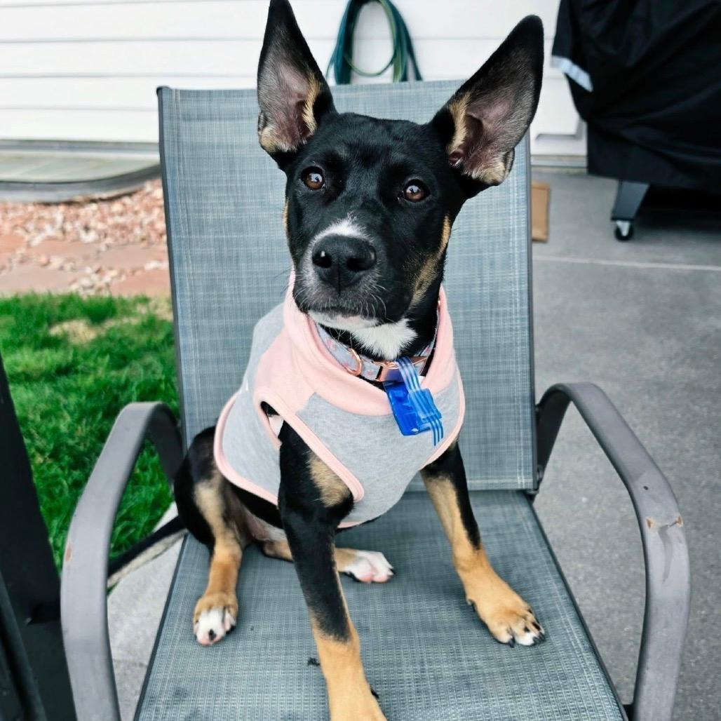 623 (2026) Zoey