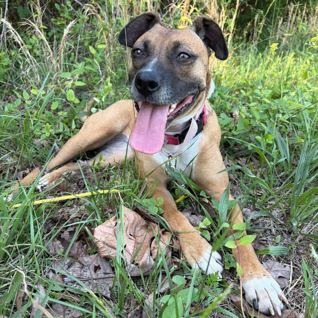 Tilly