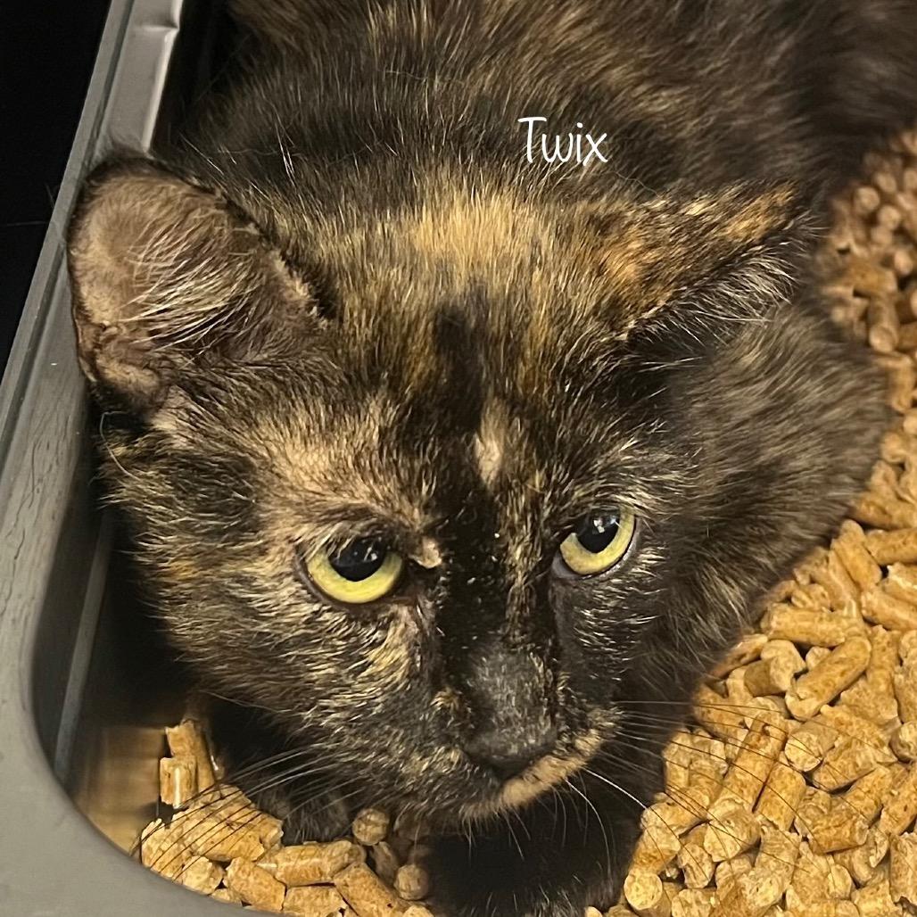 Twix