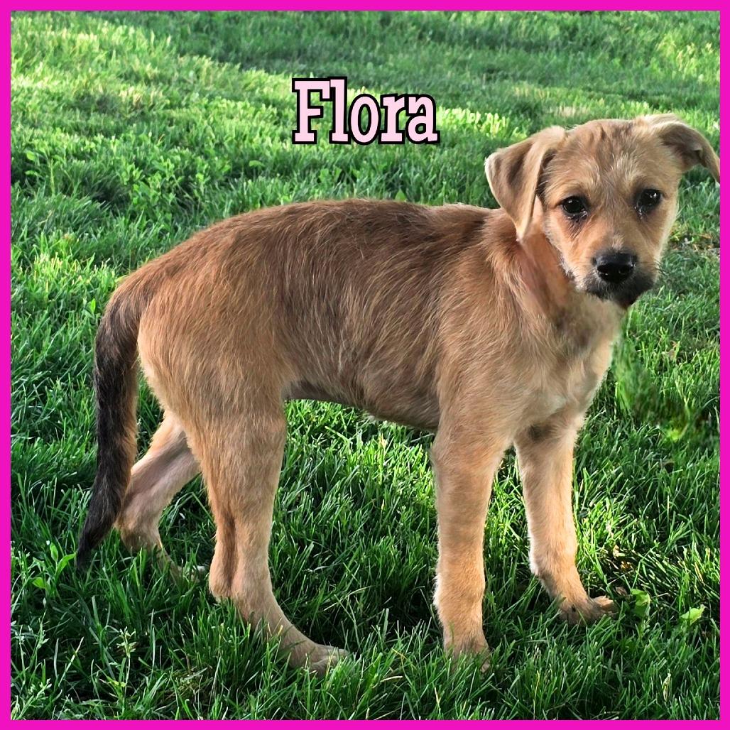Flora