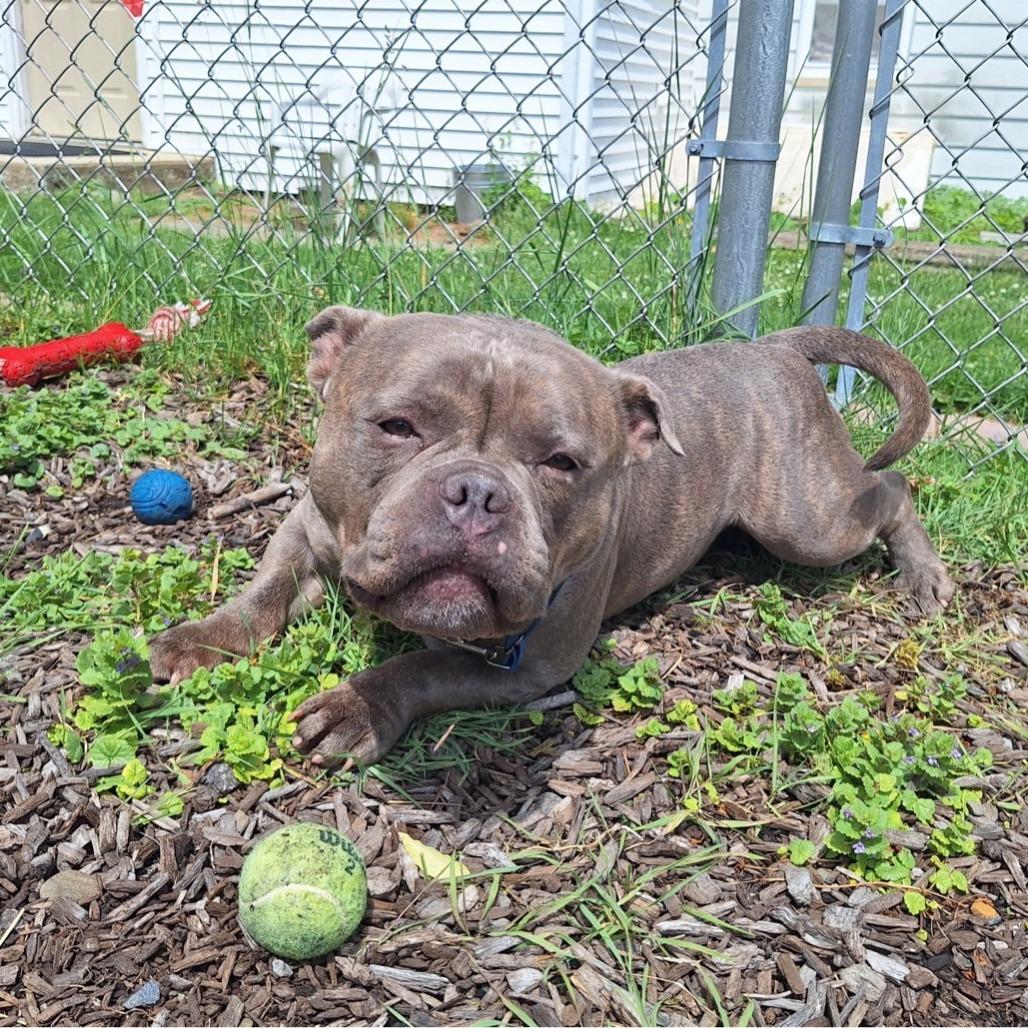 Capone