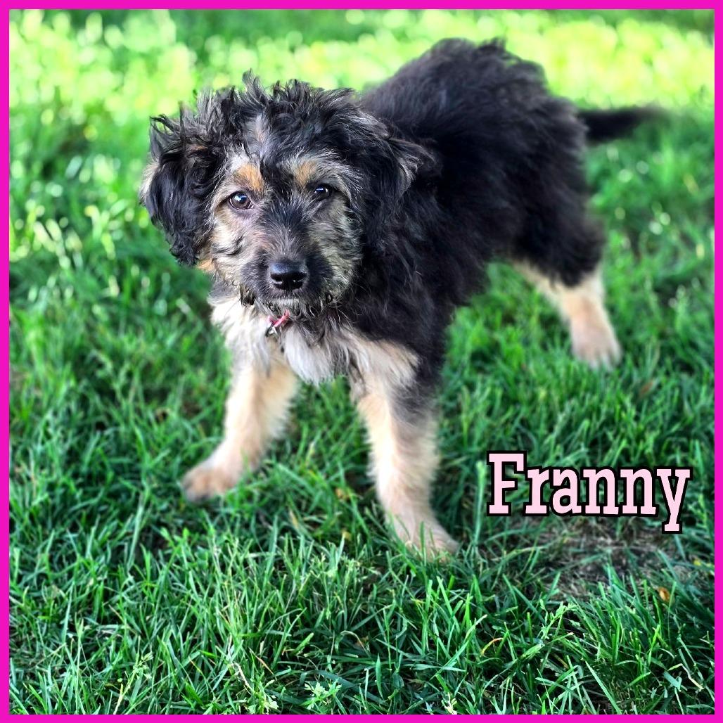 Franny