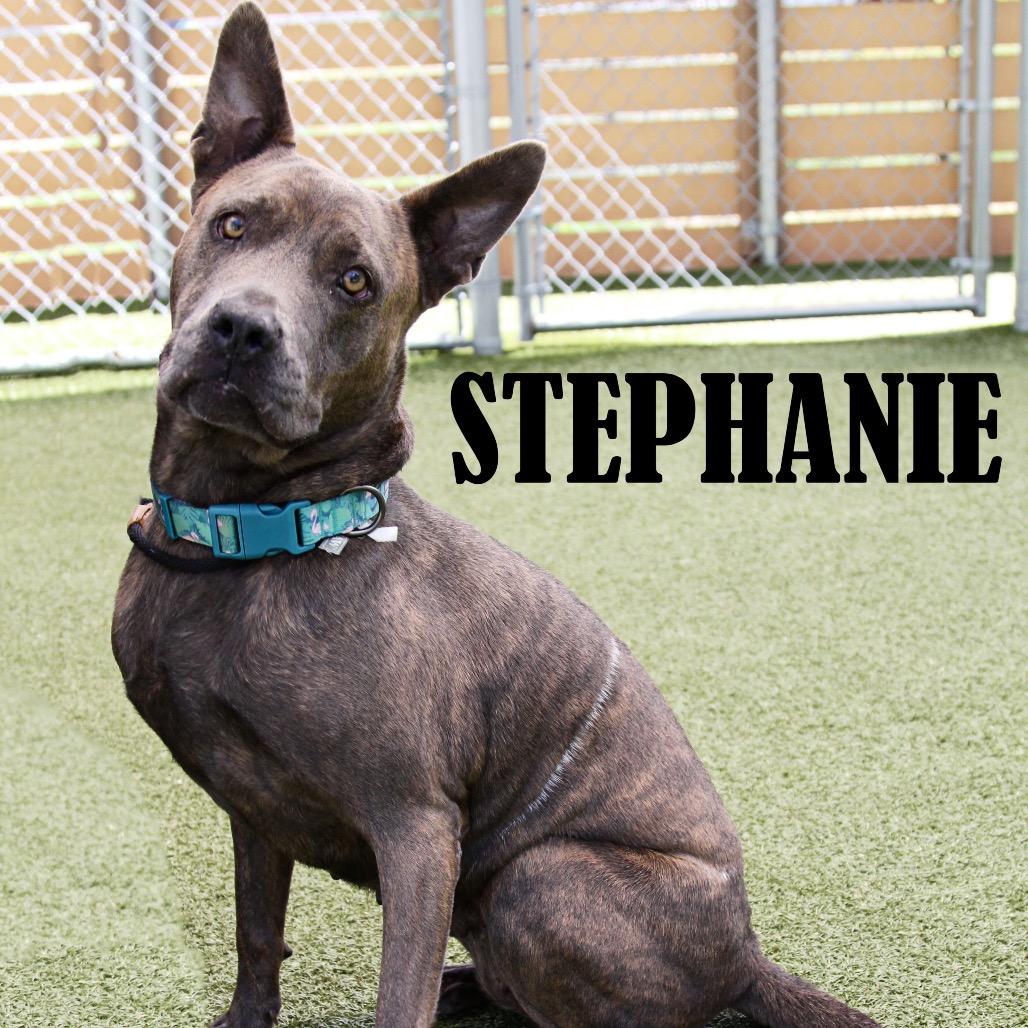 Stephanie