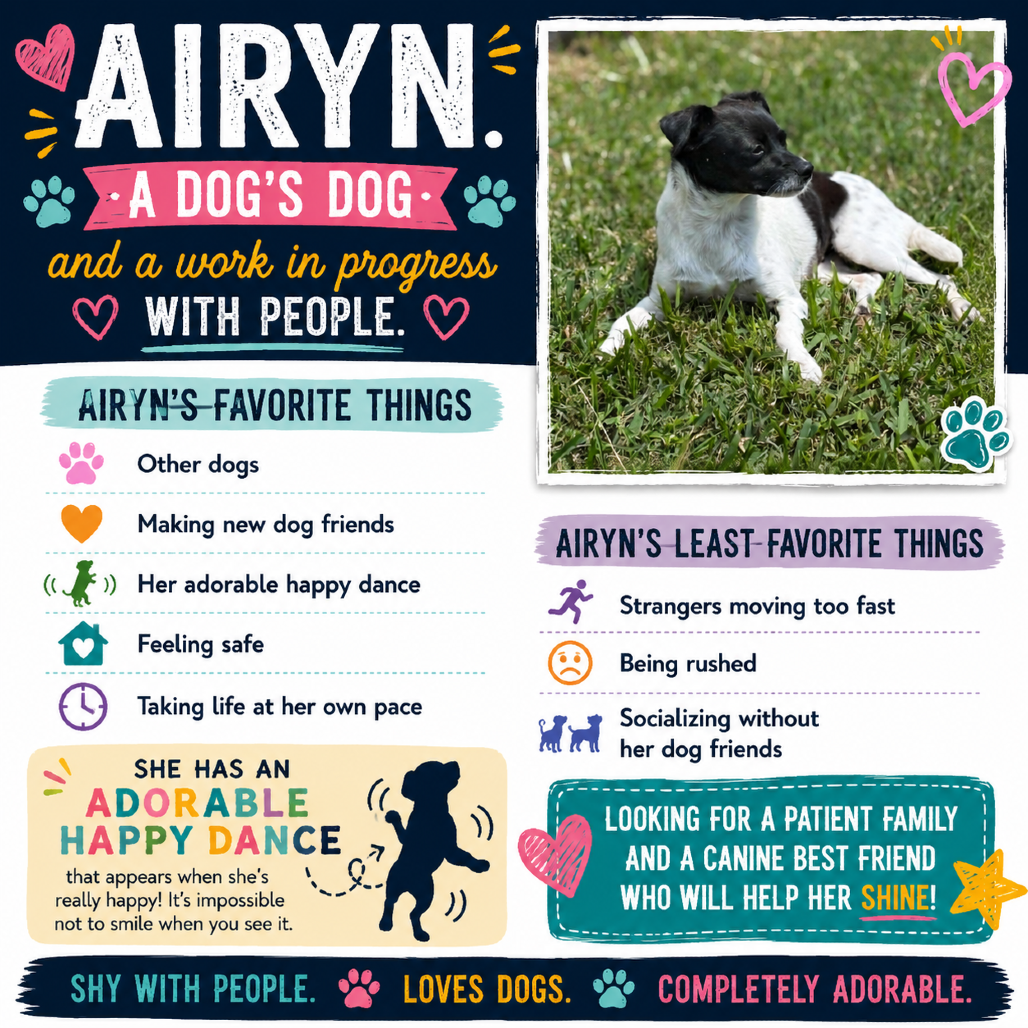 Airyn