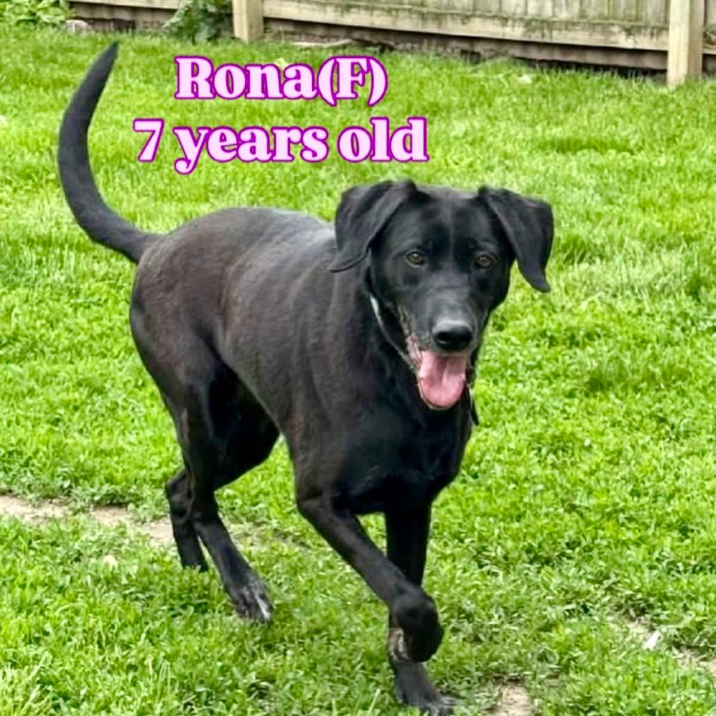 Rona
