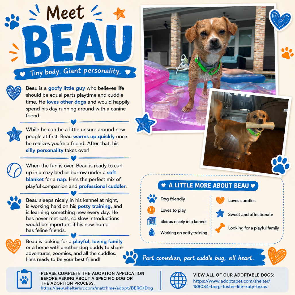 Beau