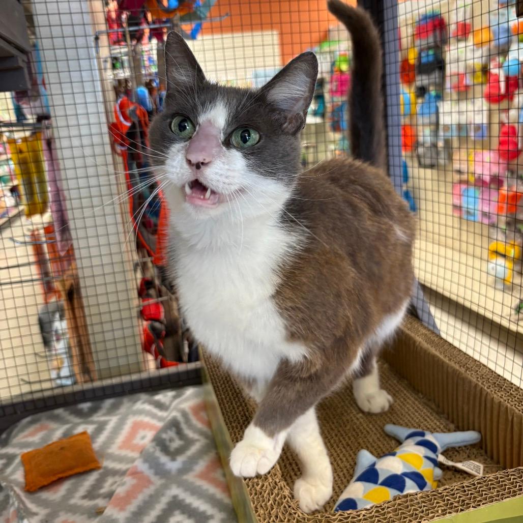 Mimi