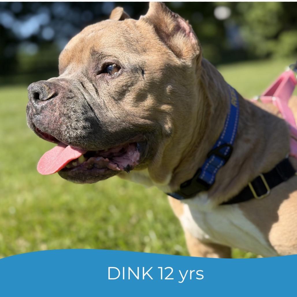 Dink