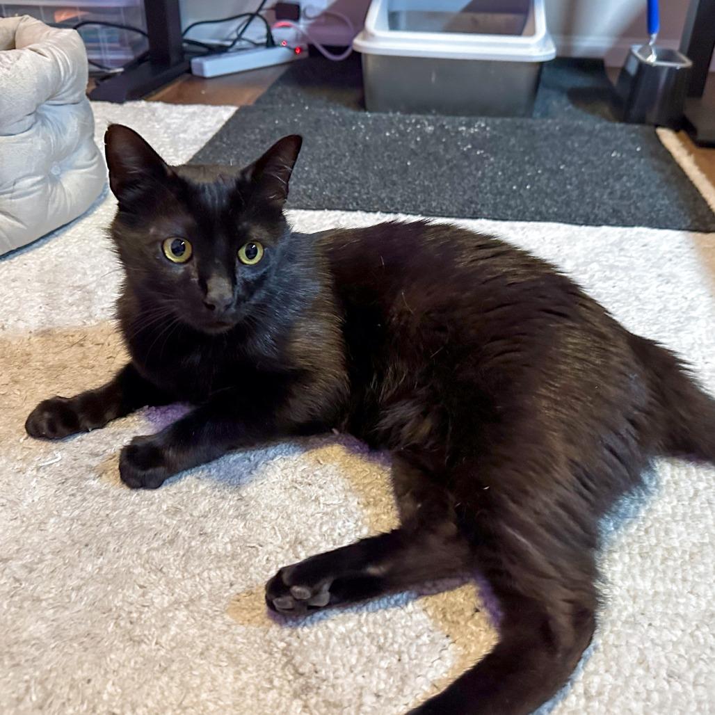 Vader