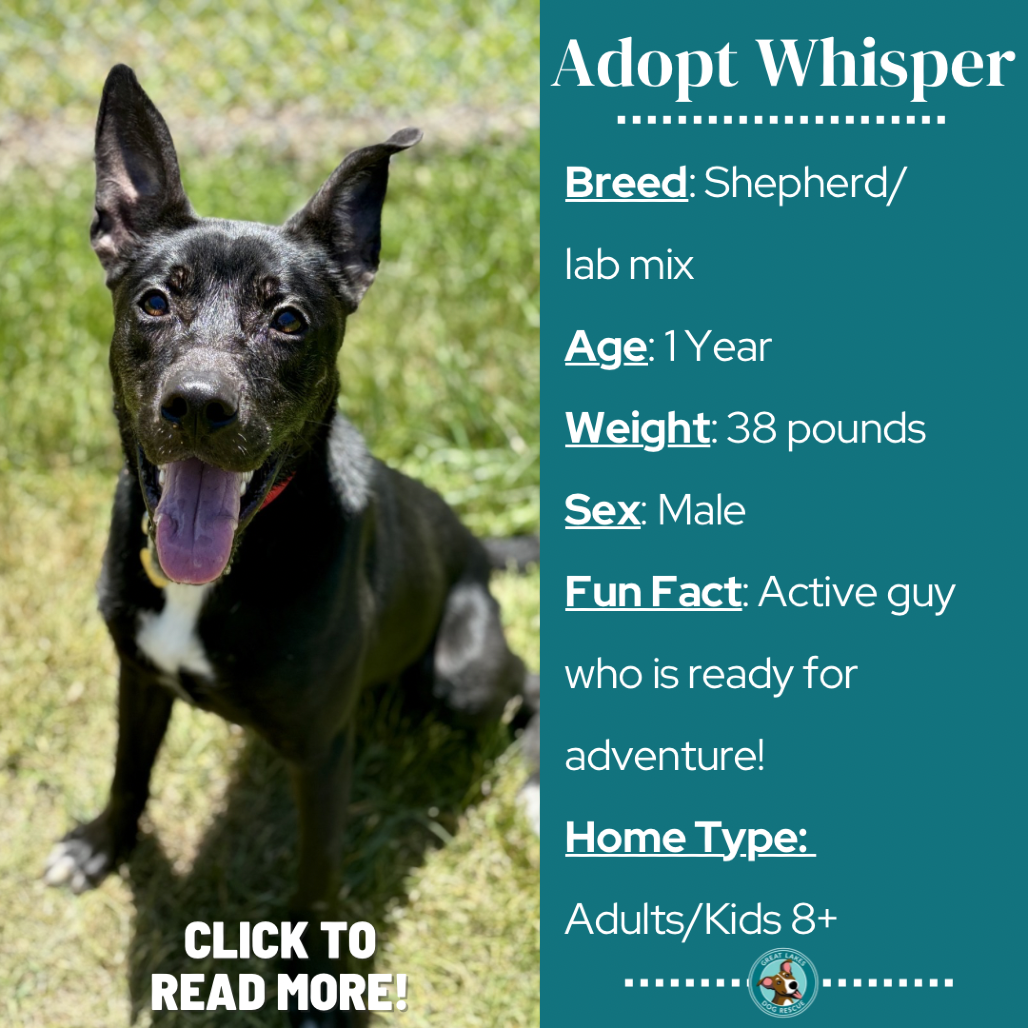 Whisper