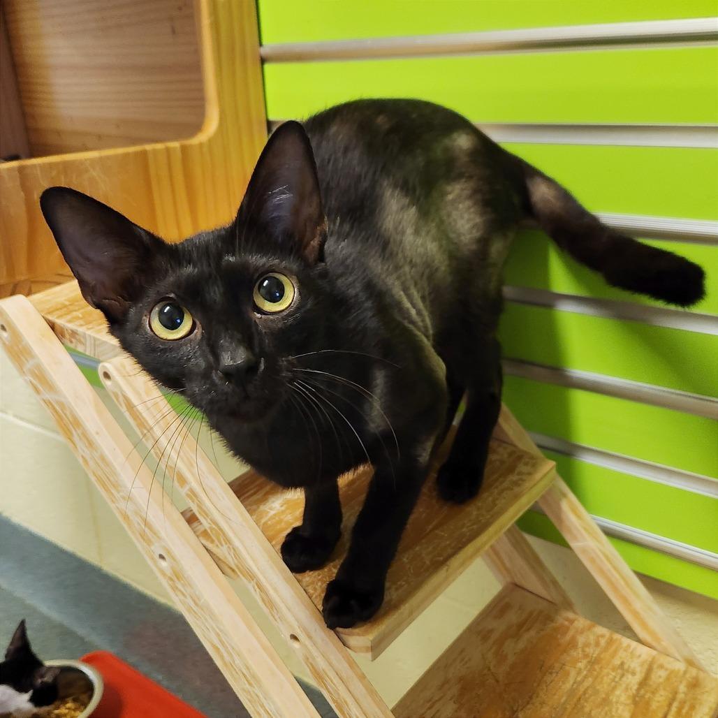 Kiki