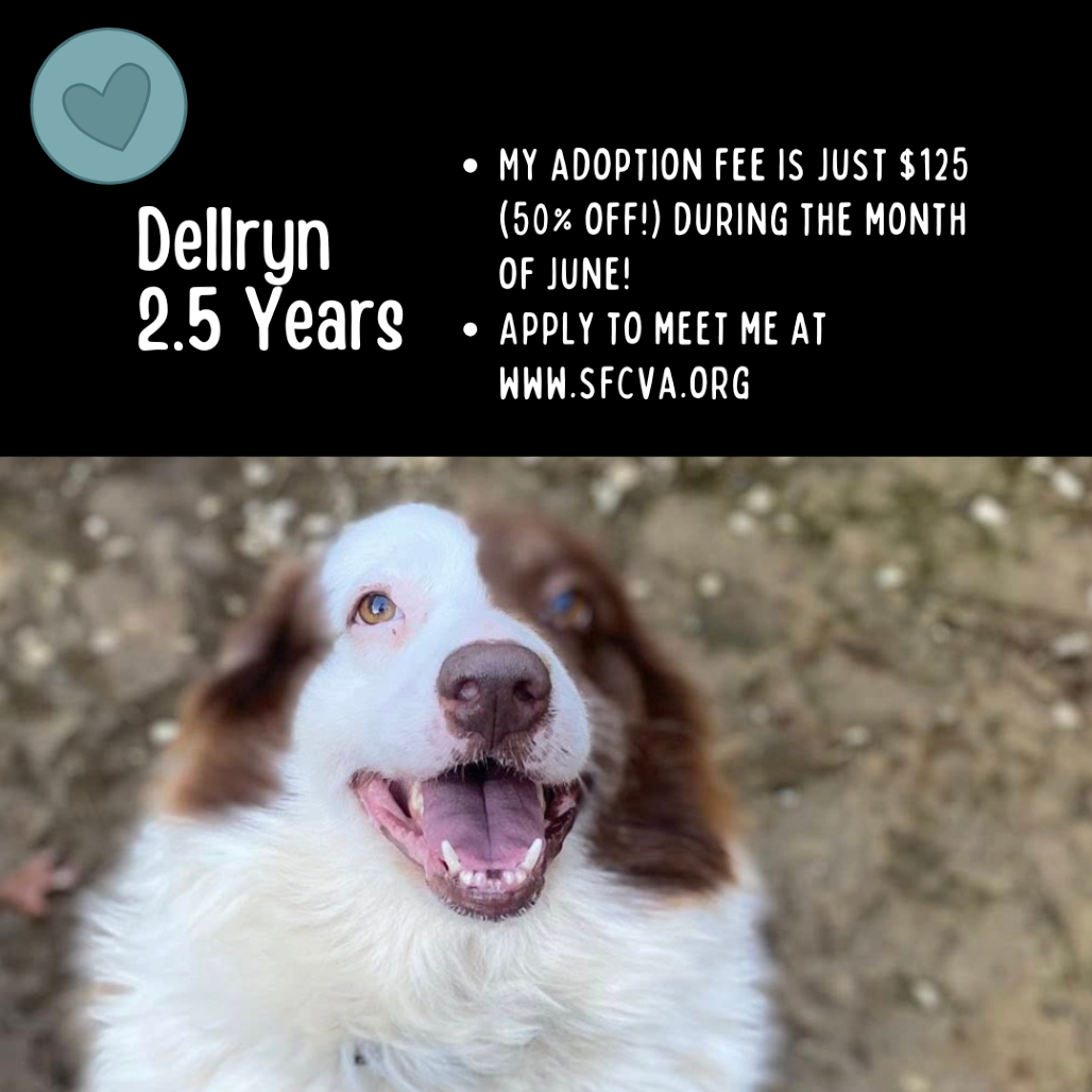Dellryn
