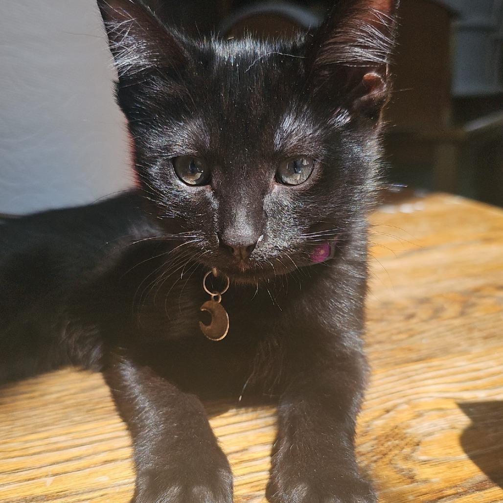 Ernie