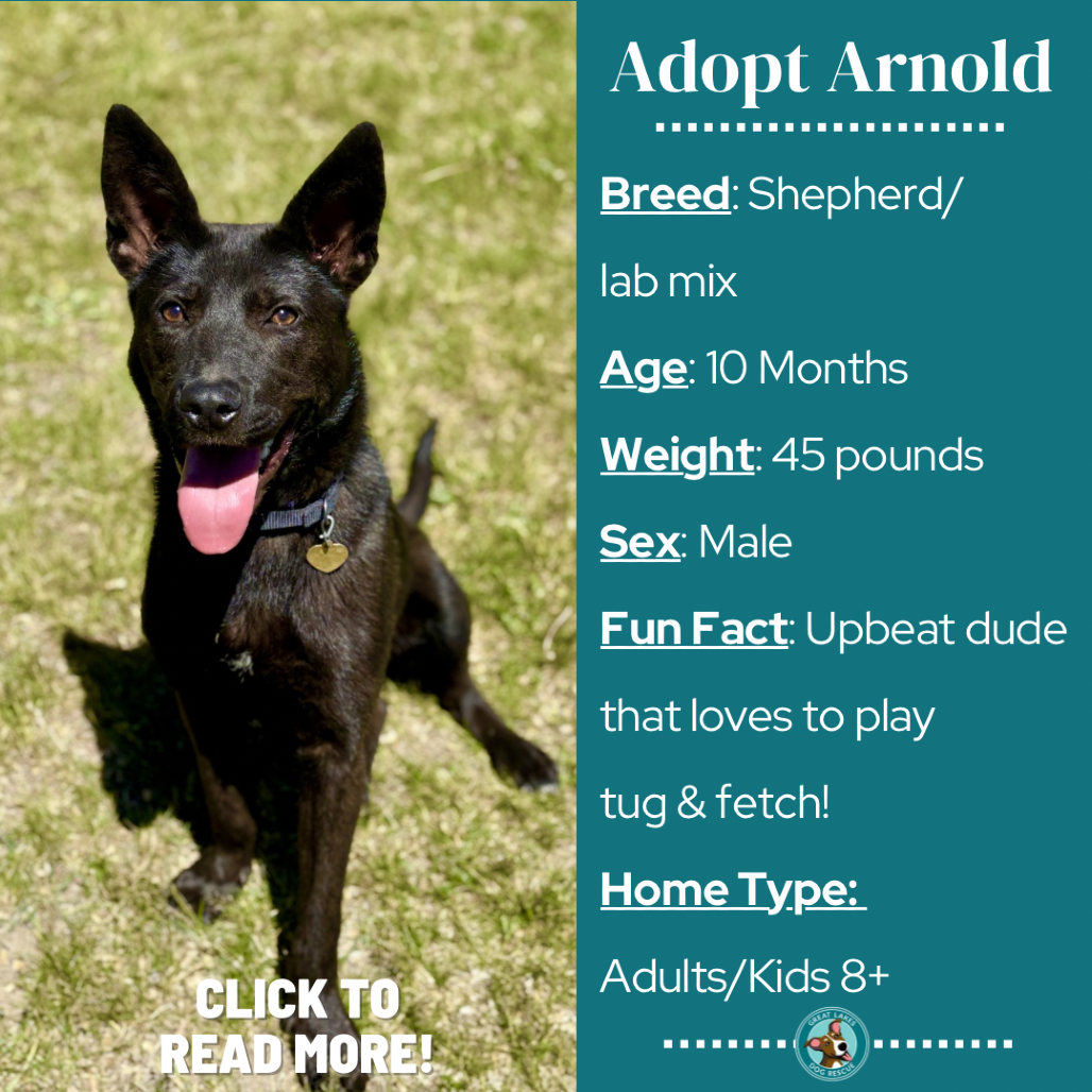 Arnold