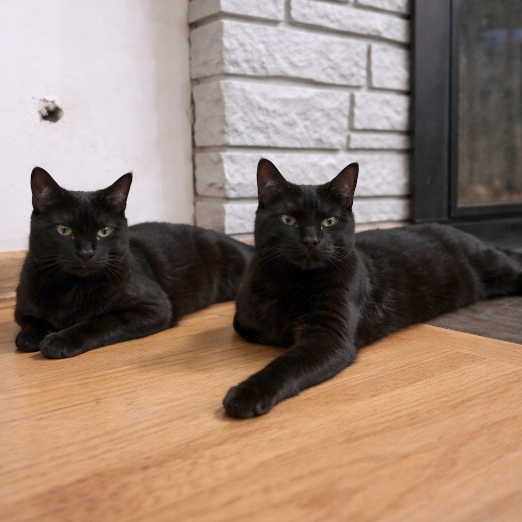 Salem