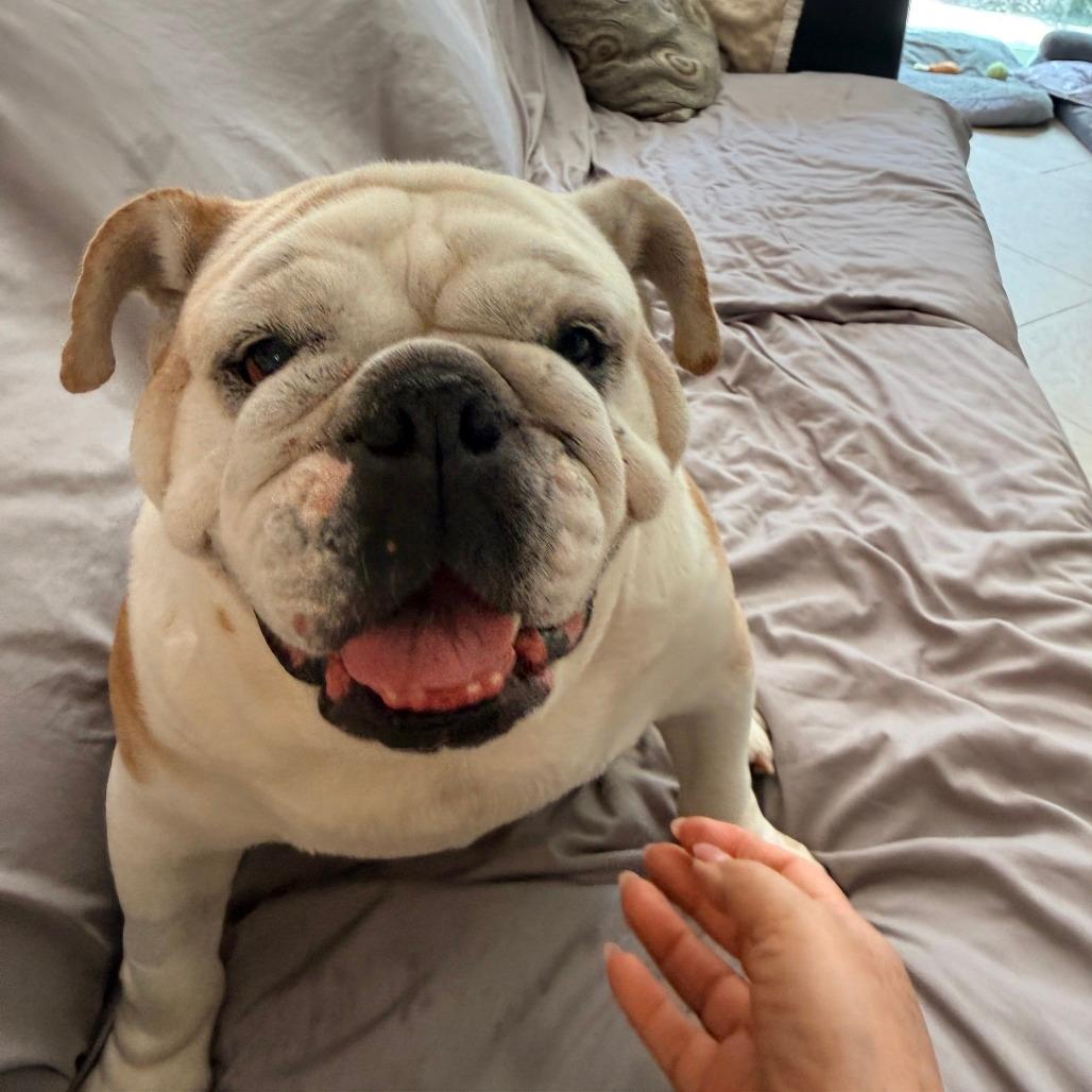Winnie