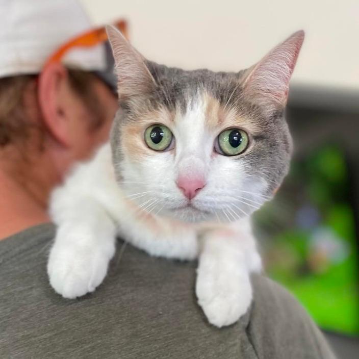 Kali