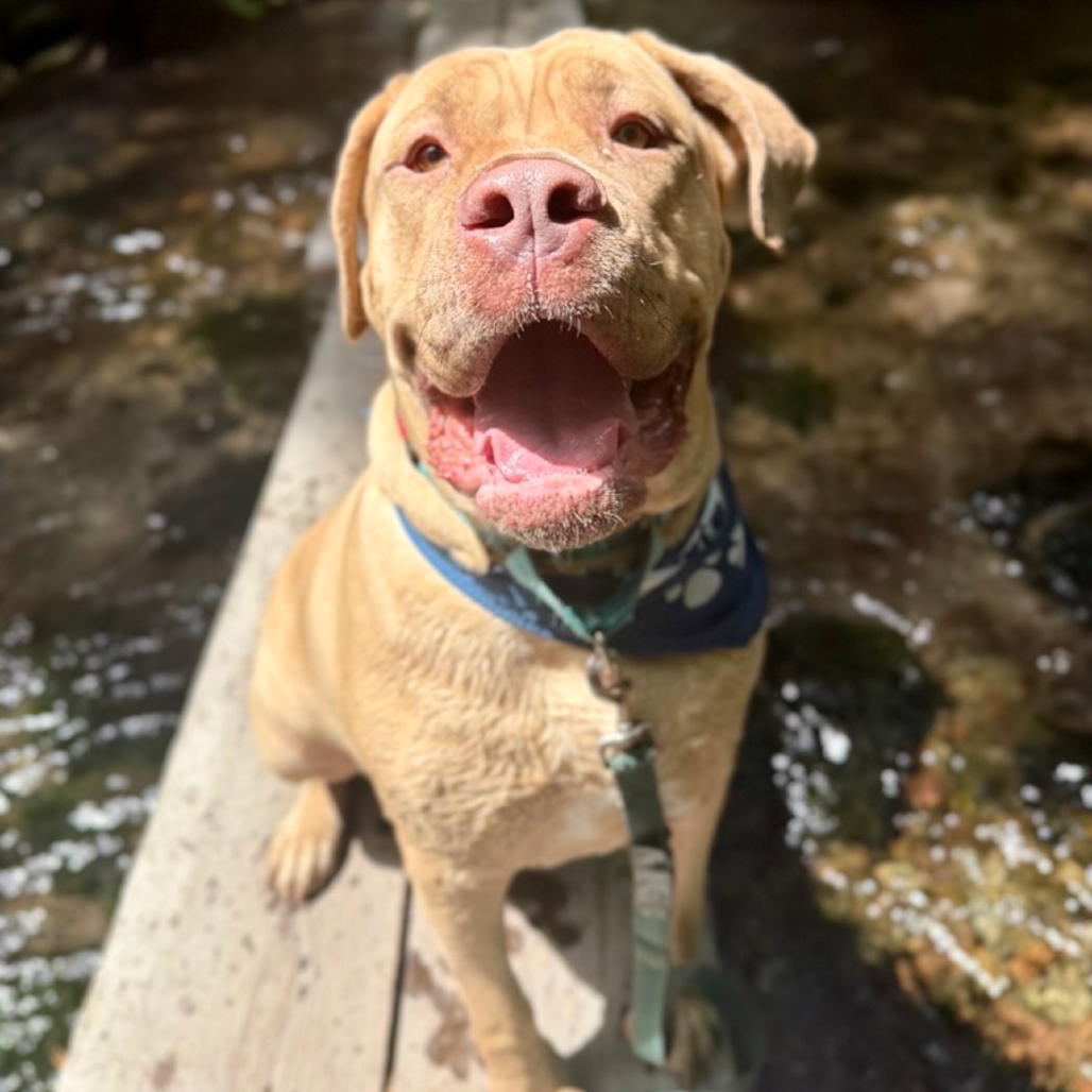 Sunny