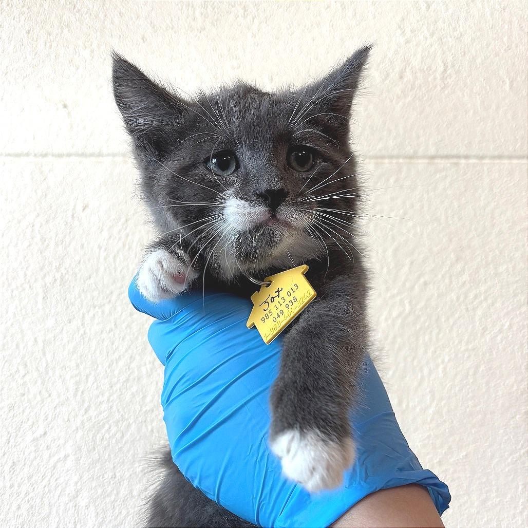 Jax
