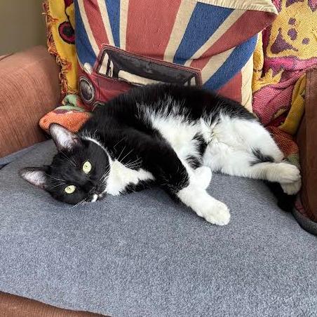 LaLa-In foster - See my Video!